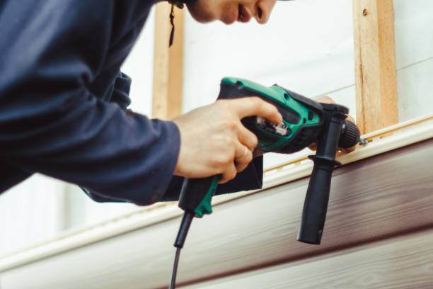 Best Aluminum Siding Installation  in Streator, IL